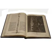 Библия в гравюрах Гюстава Доре — книга в кожаном переплёте — оригинальный подарок — фотография 2