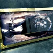 На память: Нарды под стеклом «Золотой лев» — фотография 5